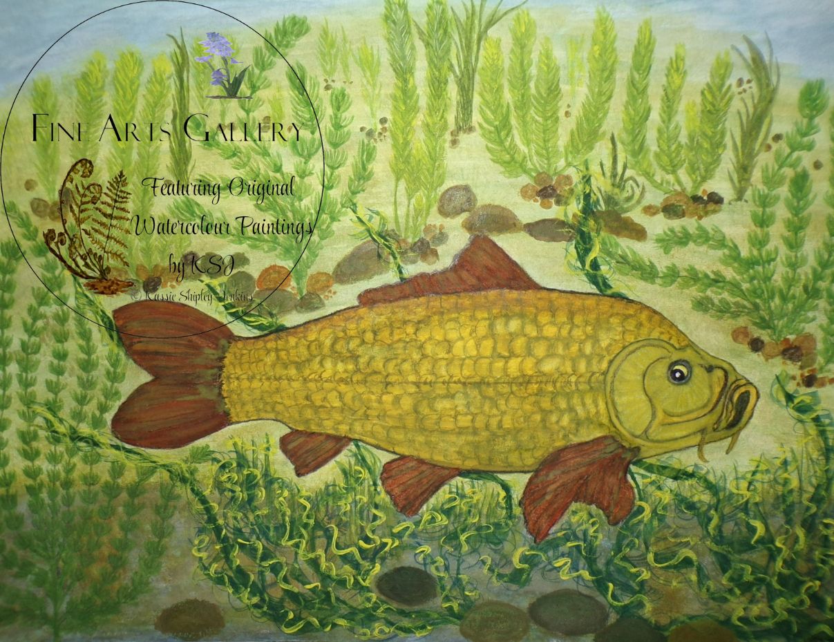 The Common Carp in the weeds