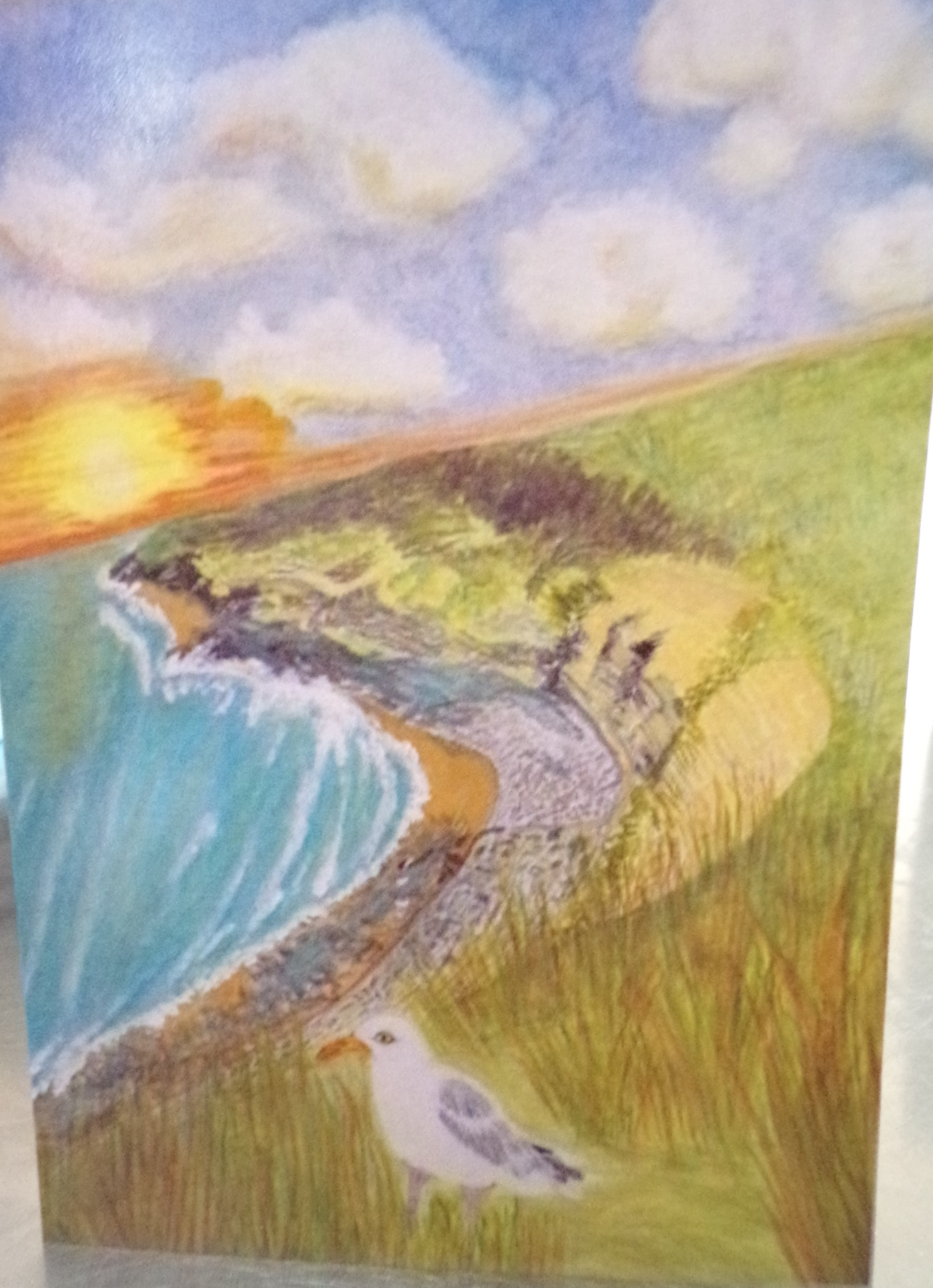 Gus the Seagull on the cliffs Greetings Card