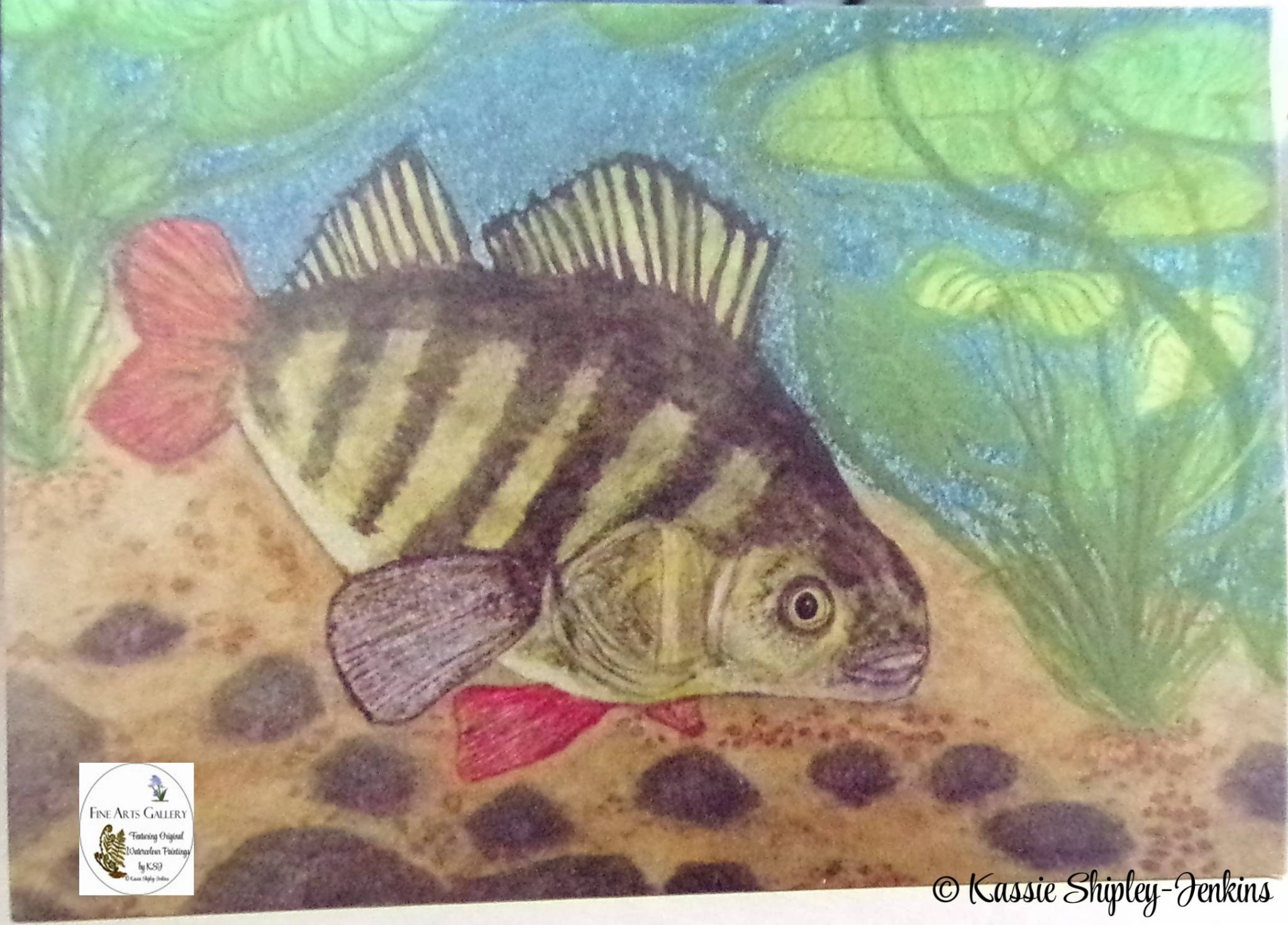 Perch Escaping Shoal Greetings Card