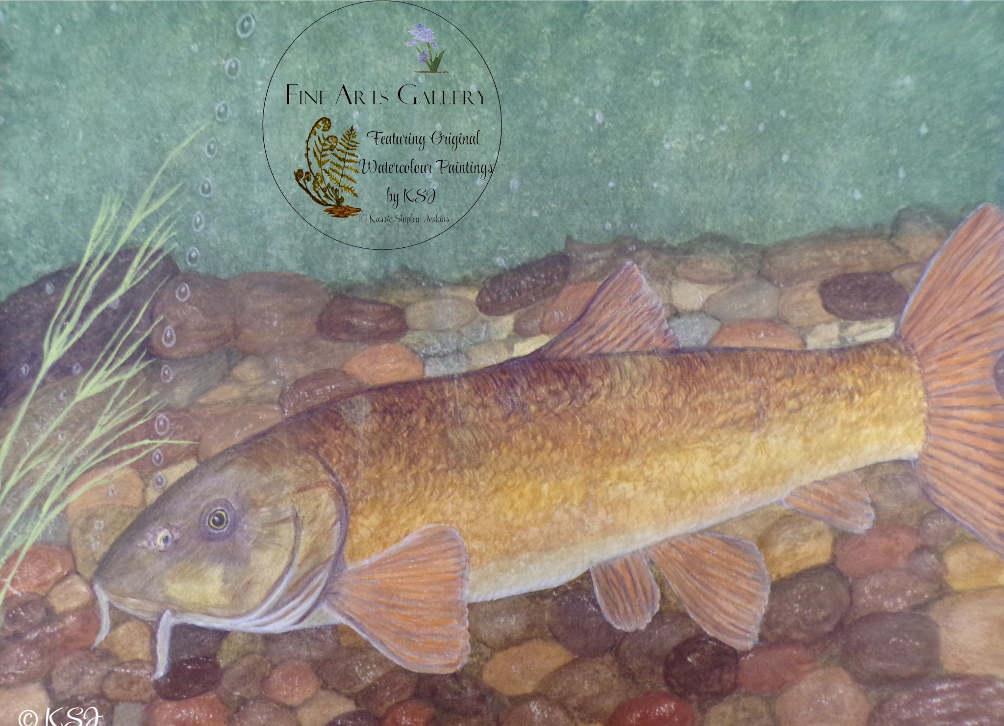 Original Kassie Shipley-Jenkins Painting of A Powerful Barbel swimming over the stones on the lake bed